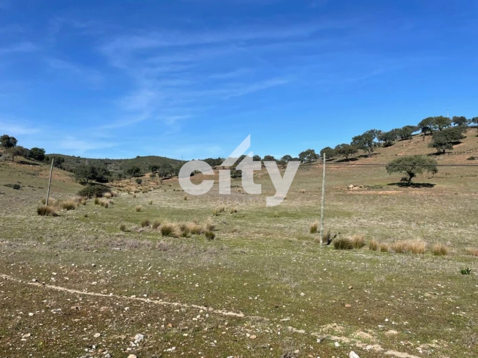 Quinta T8 para Venda em Amieira e Alqueva Foto 7