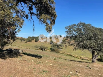Quinta T8 para Venda em Amieira e Alqueva