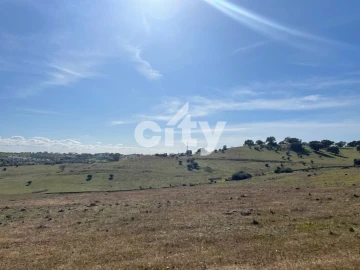 Quinta T8 para Venda em Amieira e Alqueva