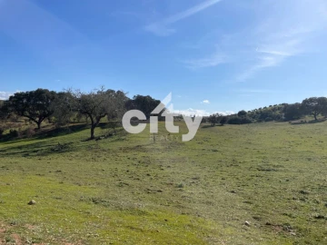 Quinta T8 para Venda em Amieira e Alqueva