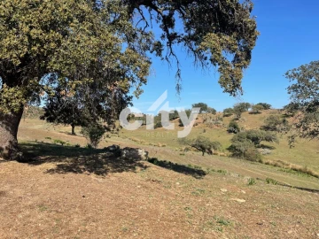 Quinta T8 para Venda em Amieira e Alqueva
