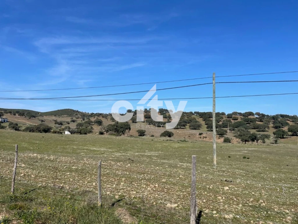 Quinta T8 para Venda em Amieira e Alqueva Foto 12