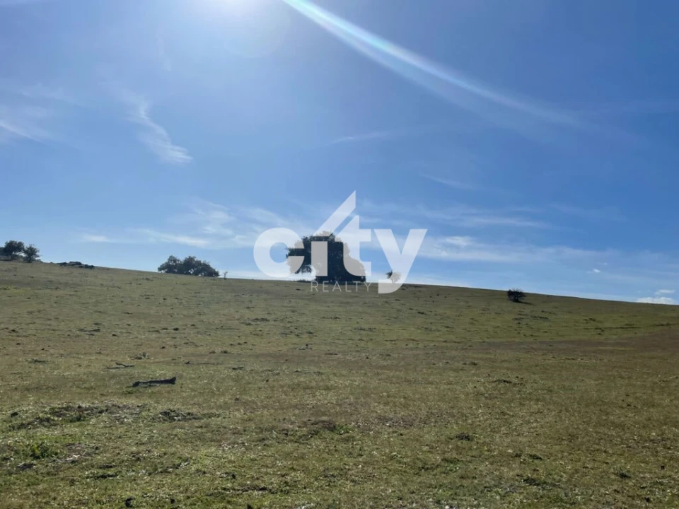 Quinta T8 para Venda em Amieira e Alqueva Foto 32