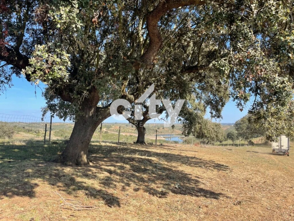 Quinta T8 para Venda em Amieira e Alqueva Foto 14