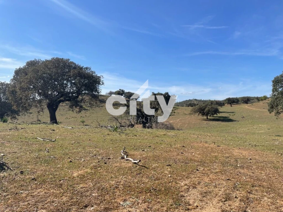 Quinta T8 para Venda em Amieira e Alqueva Foto 18
