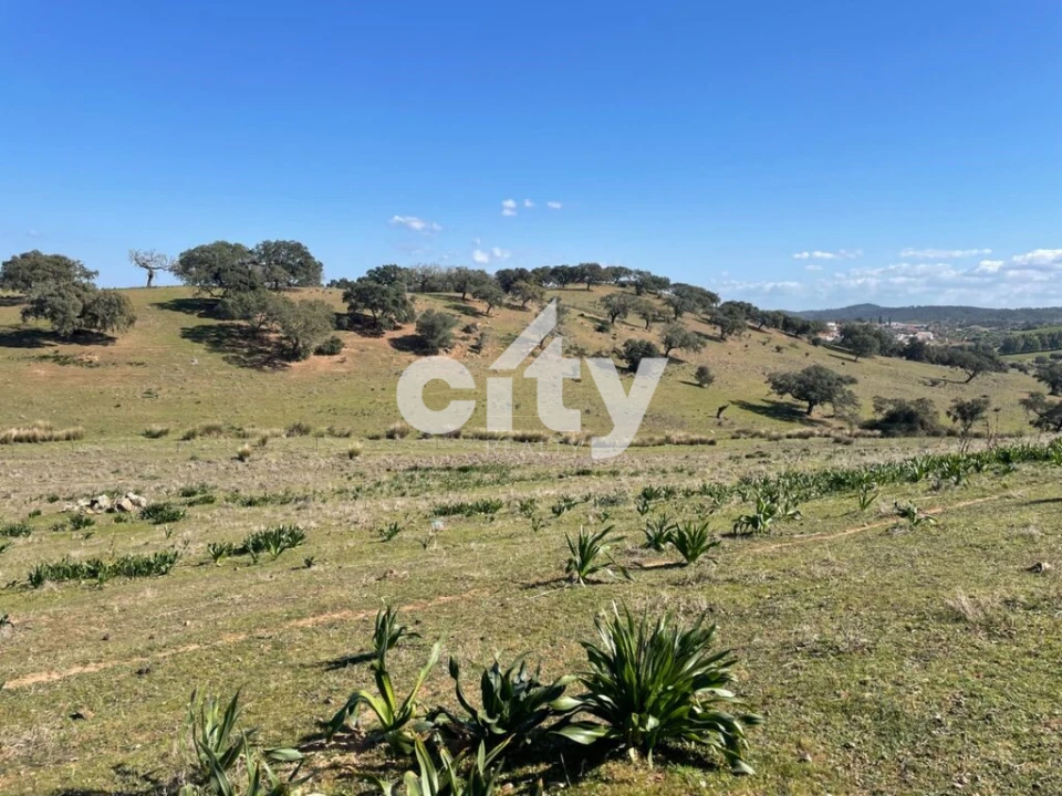 Quinta T8 para Venda em Amieira e Alqueva Foto 27