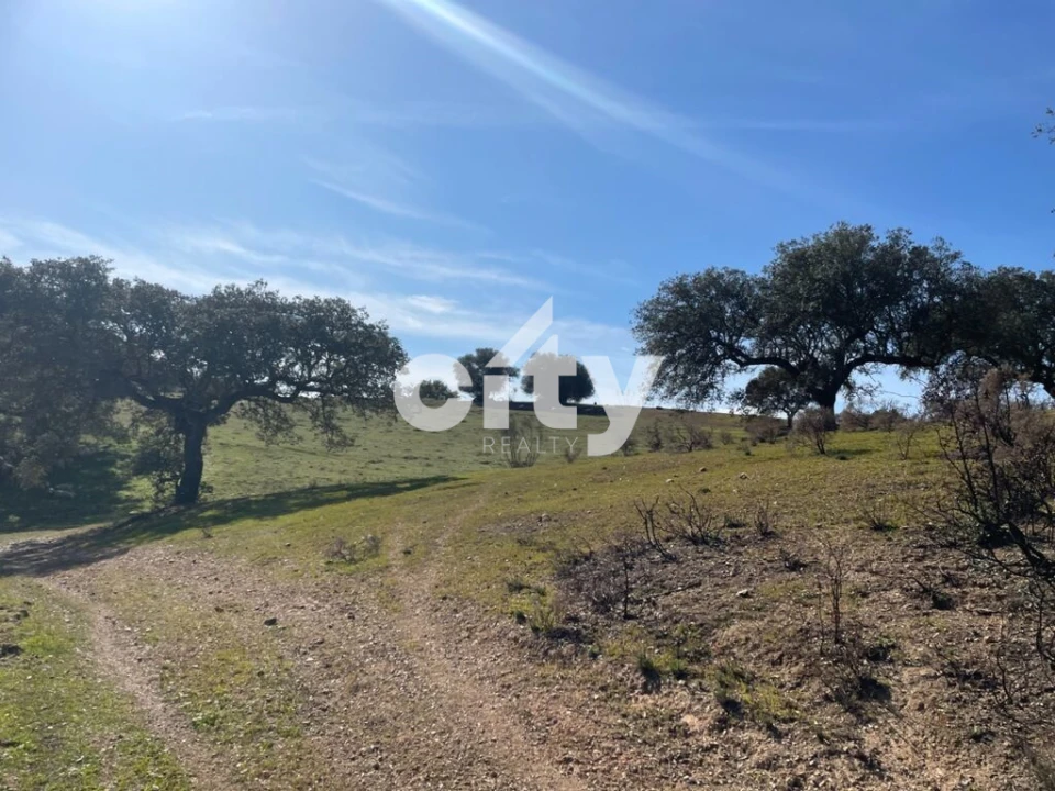 Quinta T8 para Venda em Amieira e Alqueva Foto 36