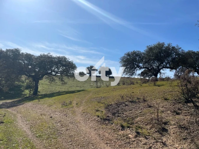 Quinta T8 para Venda em Amieira e Alqueva Foto 36
