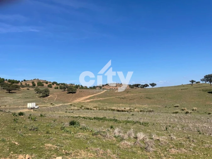 Quinta T8 para Venda em Amieira e Alqueva Foto 10