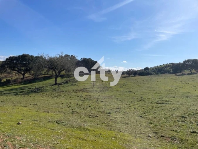 Quinta T8 para Venda em Amieira e Alqueva Foto 26