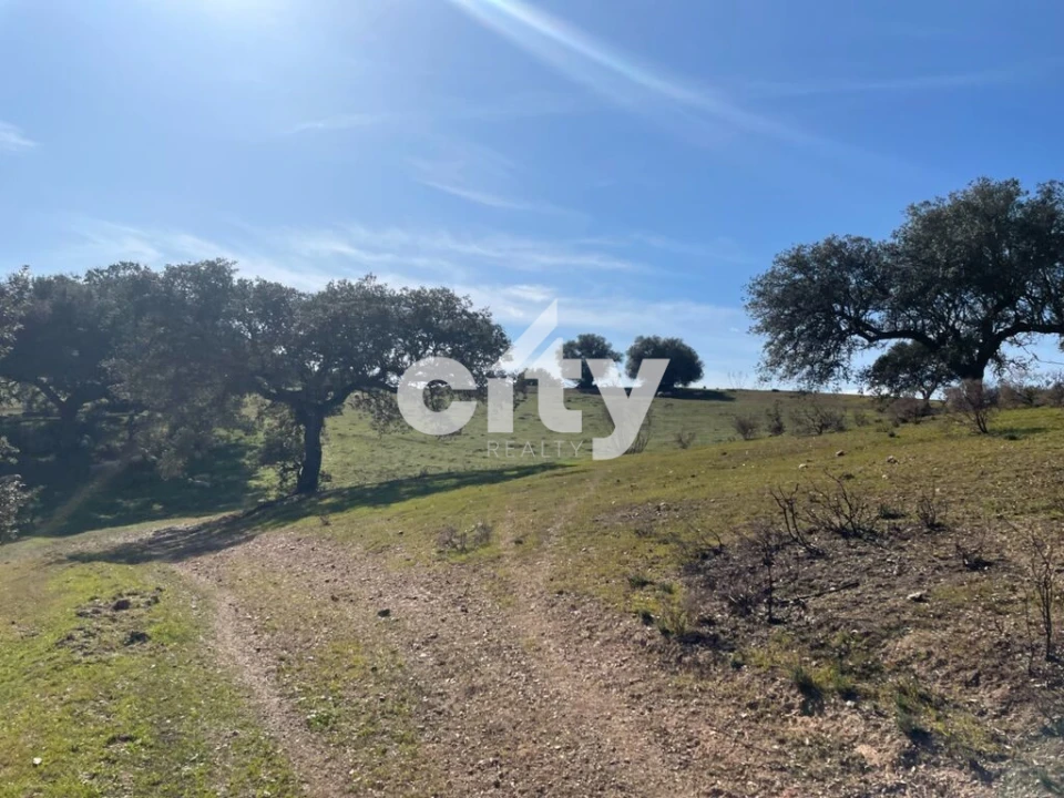 Quinta T8 para Venda em Amieira e Alqueva Foto 6