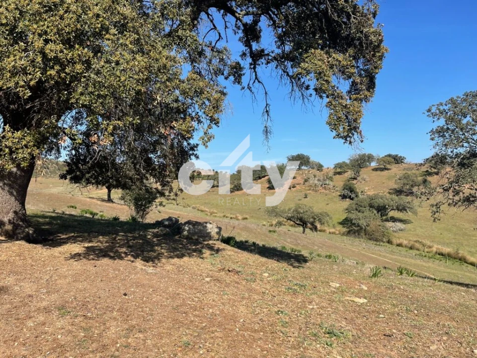 Quinta T8 para Venda em Amieira e Alqueva Foto 17