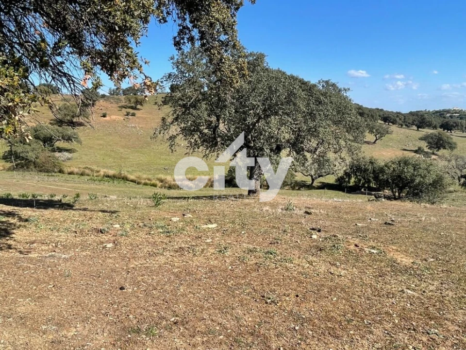 Quinta T8 para Venda em Amieira e Alqueva Foto 15