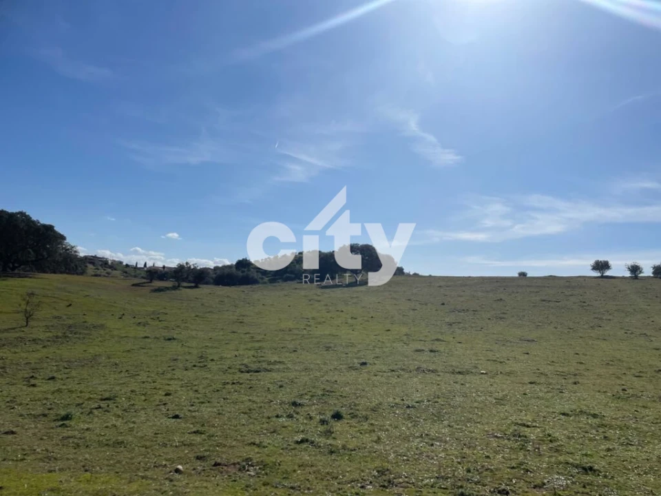 Quinta T8 para Venda em Amieira e Alqueva Foto 25
