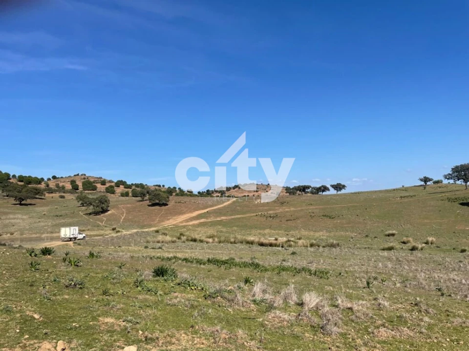 Quinta T8 para Venda em Amieira e Alqueva Foto 10