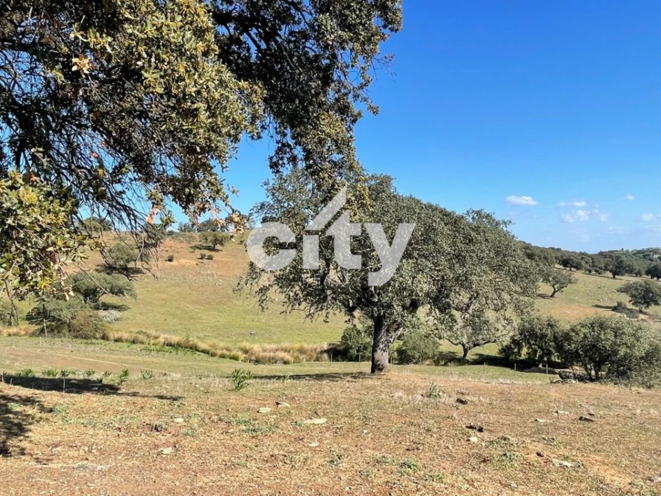 Quinta T8 para Venda em Amieira e Alqueva Foto 3