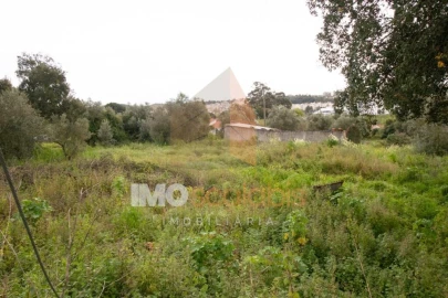 Terreno para Venda em Romeira e Várzea