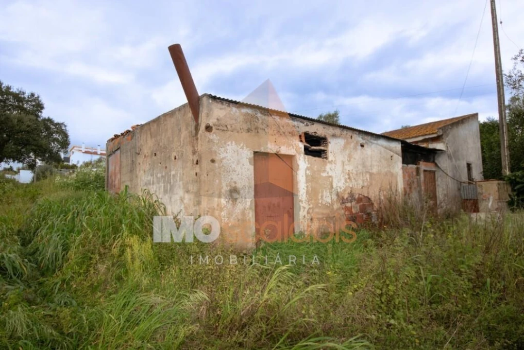 Terreno para Venda em Romeira e Várzea Foto 9
