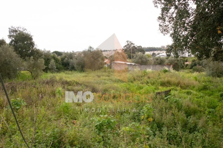 Terreno para Venda em Romeira e Várzea Foto 13