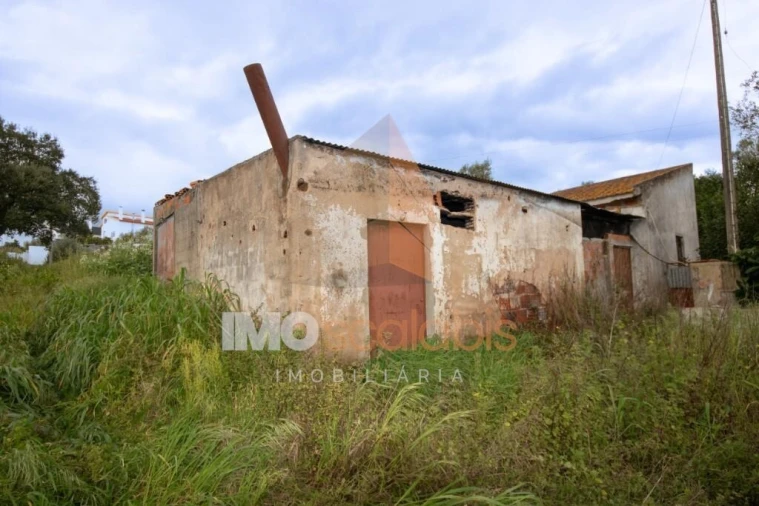 Terreno para Venda em Romeira e Várzea Foto 9
