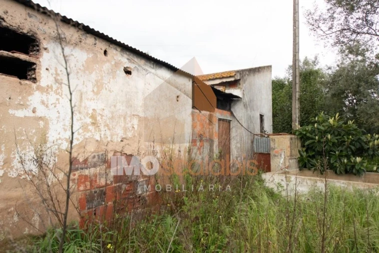 Terreno para Venda em Romeira e Várzea Foto 8
