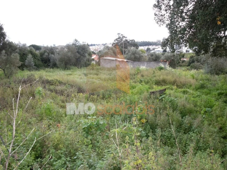 Terreno para Venda em Romeira e Várzea Foto 12
