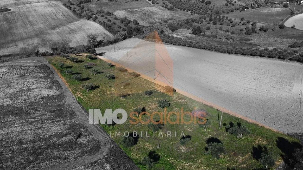 Terreno para Venda em Achete, Azoia de Baixo e Póvoa de Santarém Foto 6