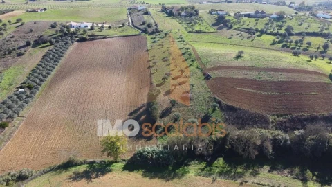 Terreno para Venda em Achete, Azoia de Baixo e Póvoa de Santarém