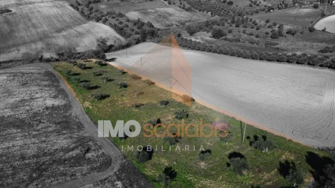 Terreno para Venda em Achete, Azoia de Baixo e Póvoa de Santarém