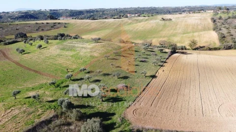 Terreno para Venda em Achete, Azoia de Baixo e Póvoa de Santarém