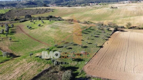 Terreno para Venda em Achete, Azoia de Baixo e Póvoa de Santarém