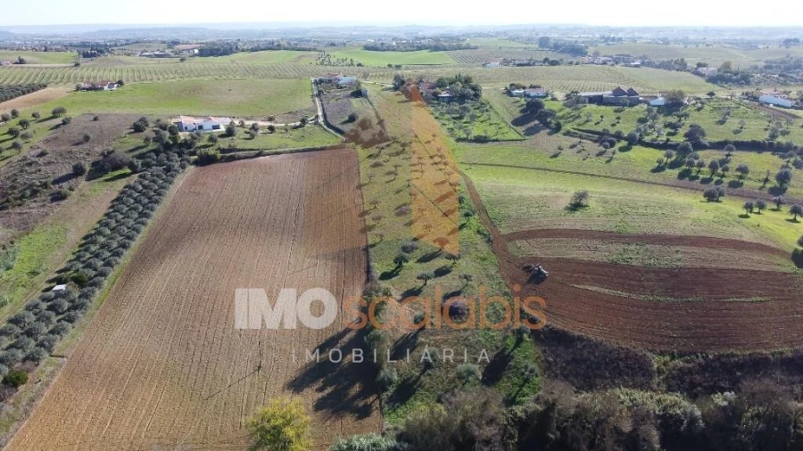 Terreno para Venda em Achete, Azoia de Baixo e Póvoa de Santarém Foto 12