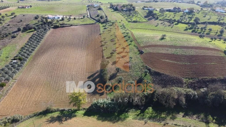 Terreno para Venda em Achete, Azoia de Baixo e Póvoa de Santarém Foto 11