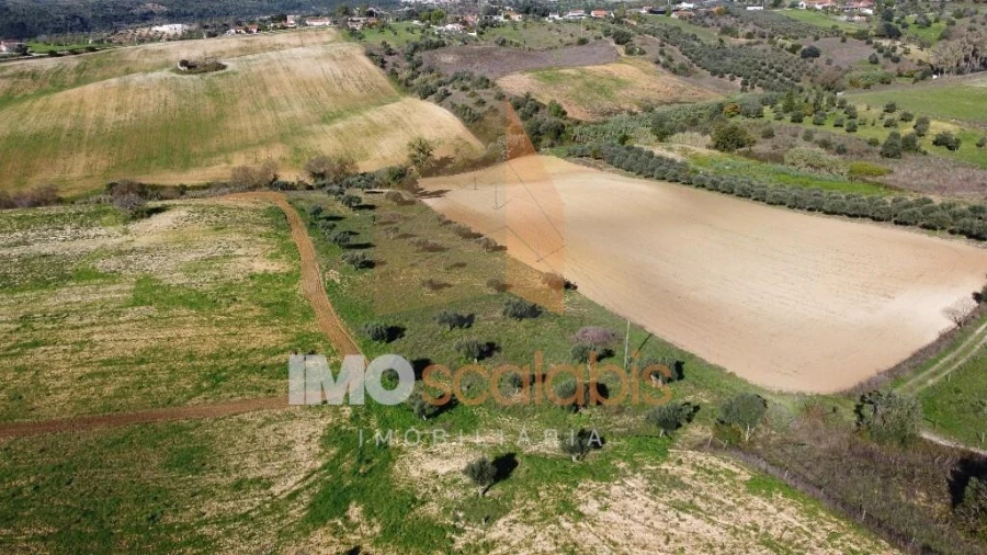 Terreno para Venda em Achete, Azoia de Baixo e Póvoa de Santarém Foto 10