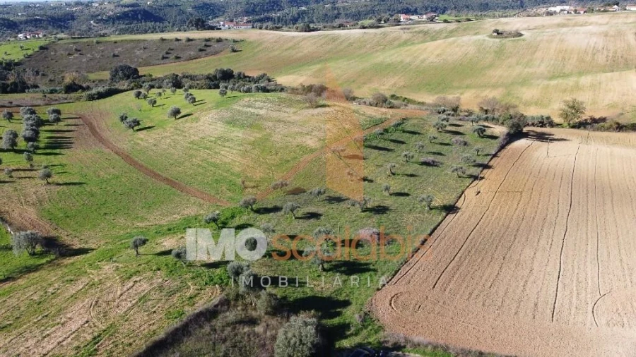 Terreno para Venda em Achete, Azoia de Baixo e Póvoa de Santarém Foto 4