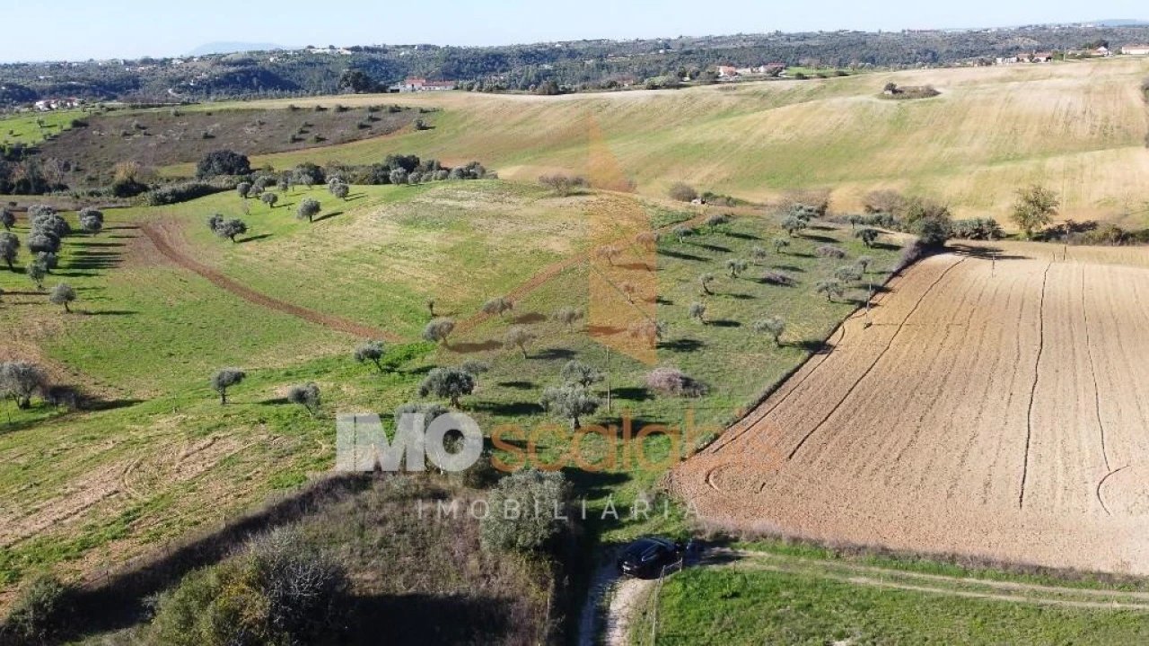 Terreno para Venda em Achete, Azoia de Baixo e Póvoa de Santarém Foto 9
