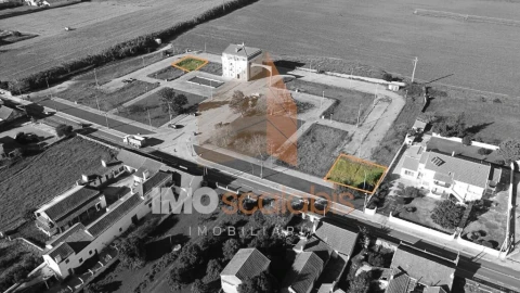 Terreno para Venda em Alpiarça