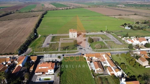 Terreno para Venda em Alpiarça