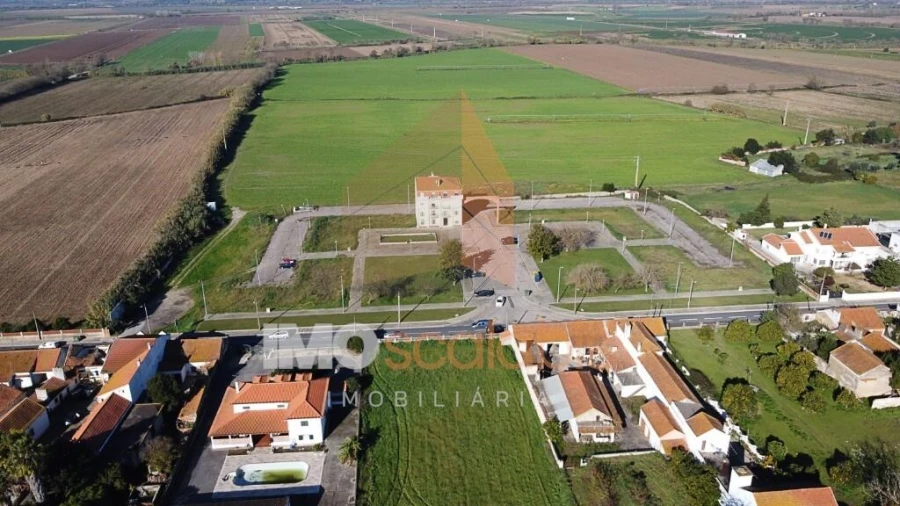 Terreno para Venda em Alpiarça Foto 5