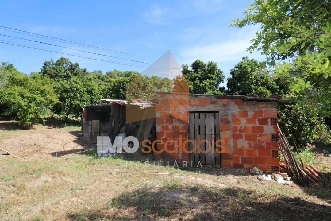 Moradia T3 para Venda em Carregueira Foto 13