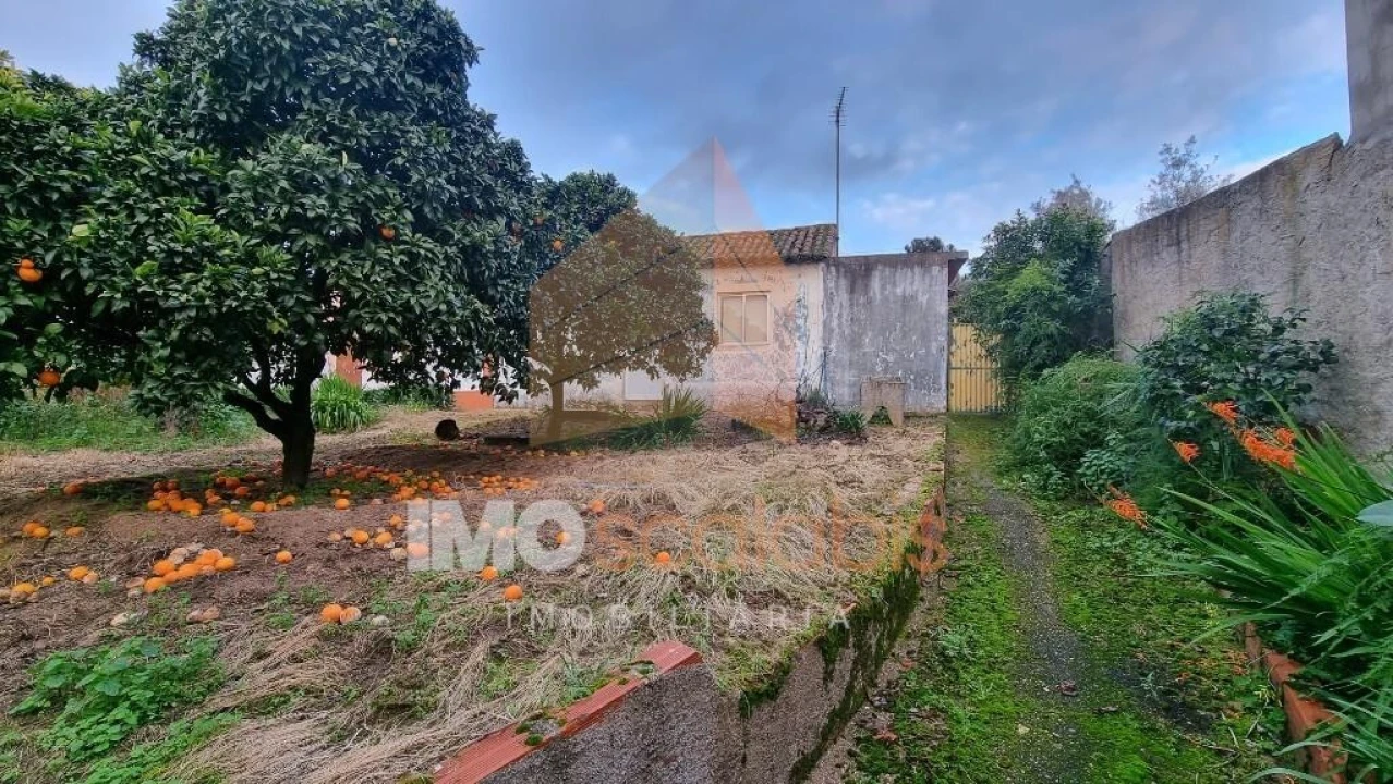 Moradia T3 para Venda em Carregueira Foto 3