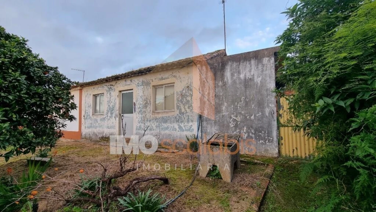 Moradia T3 para Venda em Carregueira Foto 1