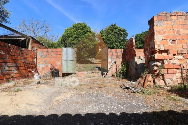 Moradia T3 para Venda em Carregueira Foto 16