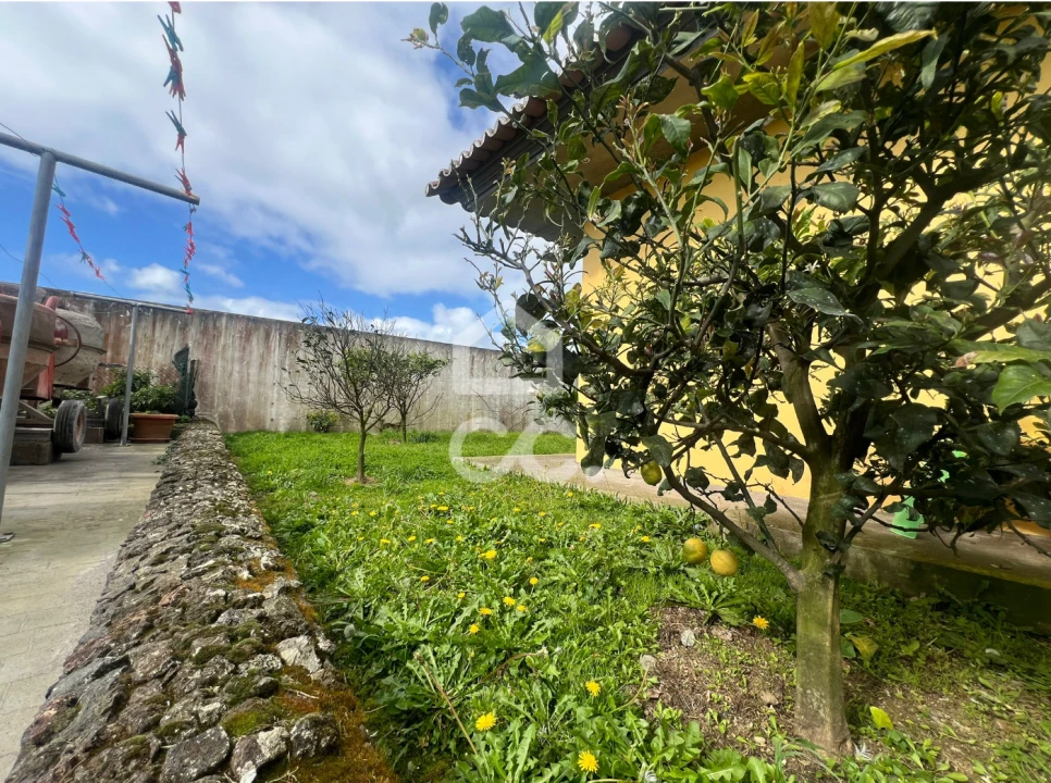 Moradia T3 para Venda em Lagoa (Santa Cruz) Foto 18