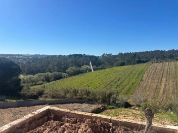 Moradia T3 para Venda em Caldas da Rainha - Santo Onofre e Serra do Bouro