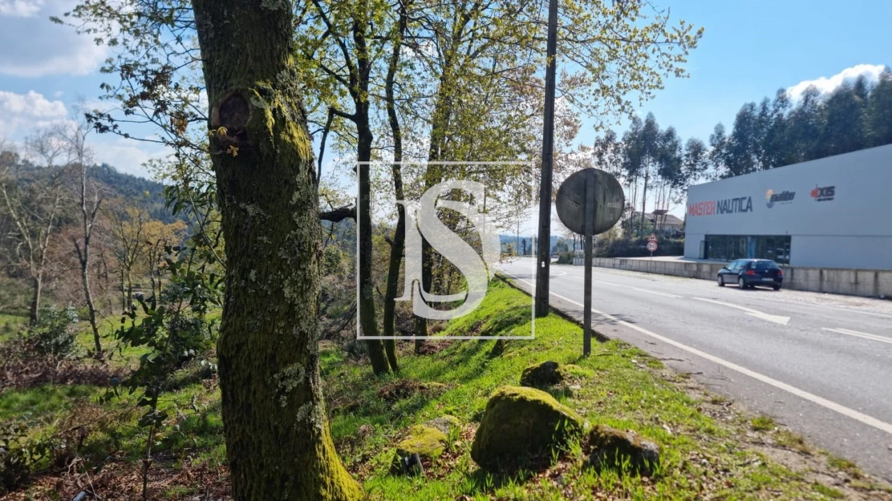 Terreno para Venda em Calvos e Frades Foto 48