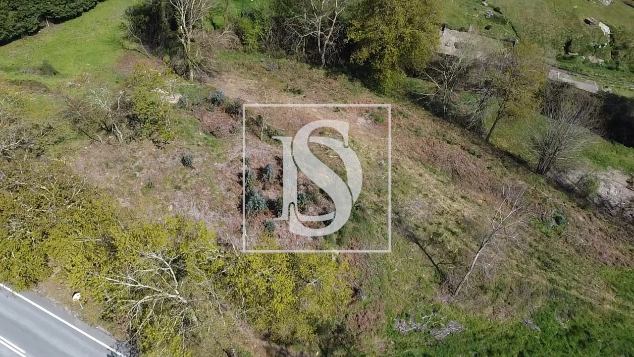 Terreno para Venda em Calvos e Frades Foto 28