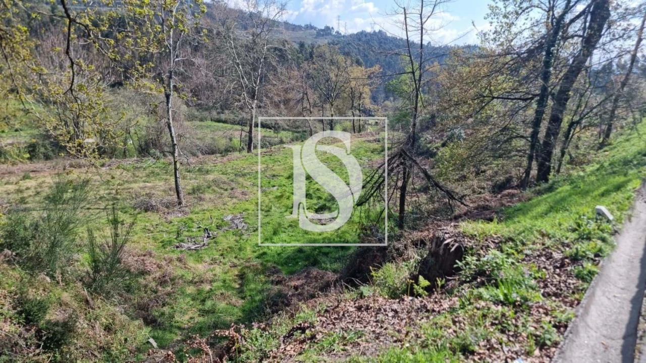 Terreno para Venda em Calvos e Frades Foto 52