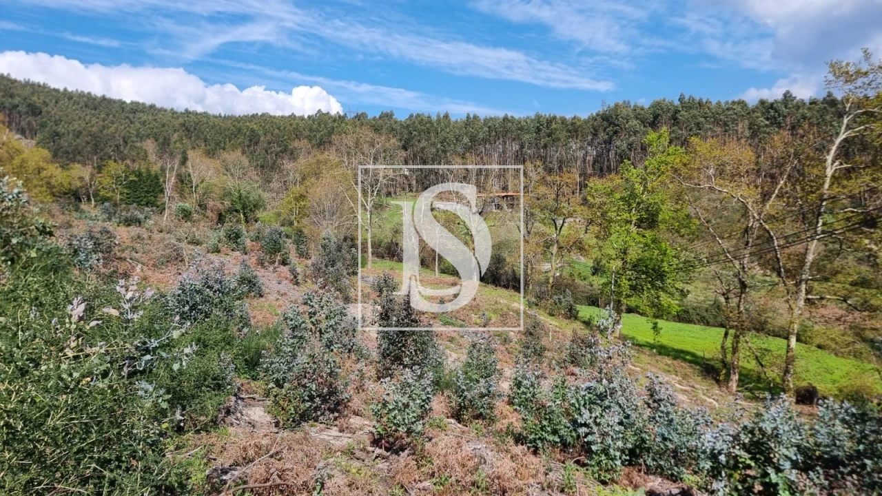 Terreno para Venda em Calvos e Frades Foto 13