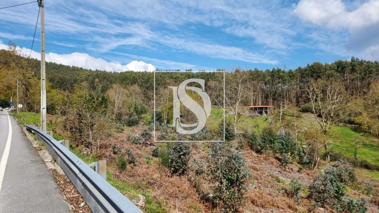 Terreno para Venda em Calvos e Frades Foto 4